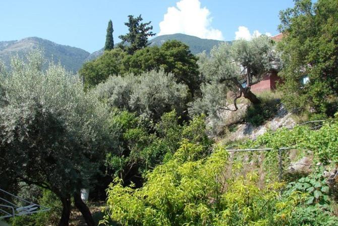 Villa Galanos Νικιάνα Δωμάτιο φωτογραφία